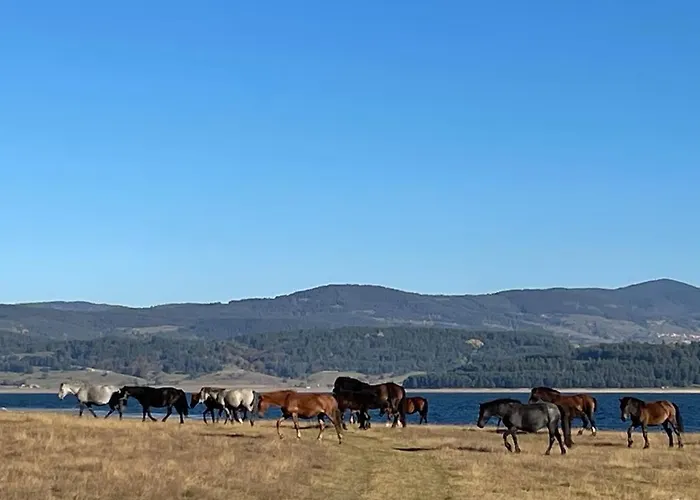 Premium In Private Nisim Апартамент *