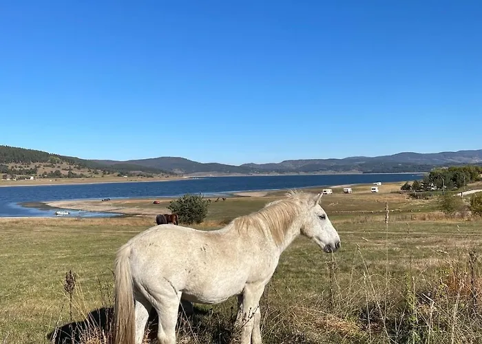 Premium In Private Nisim Апартамент *